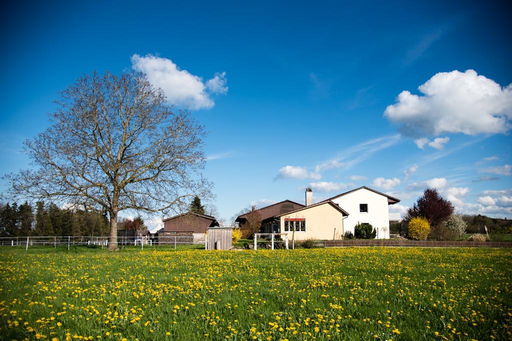 Hof-Tschannen Lengwil Eksteriør billede